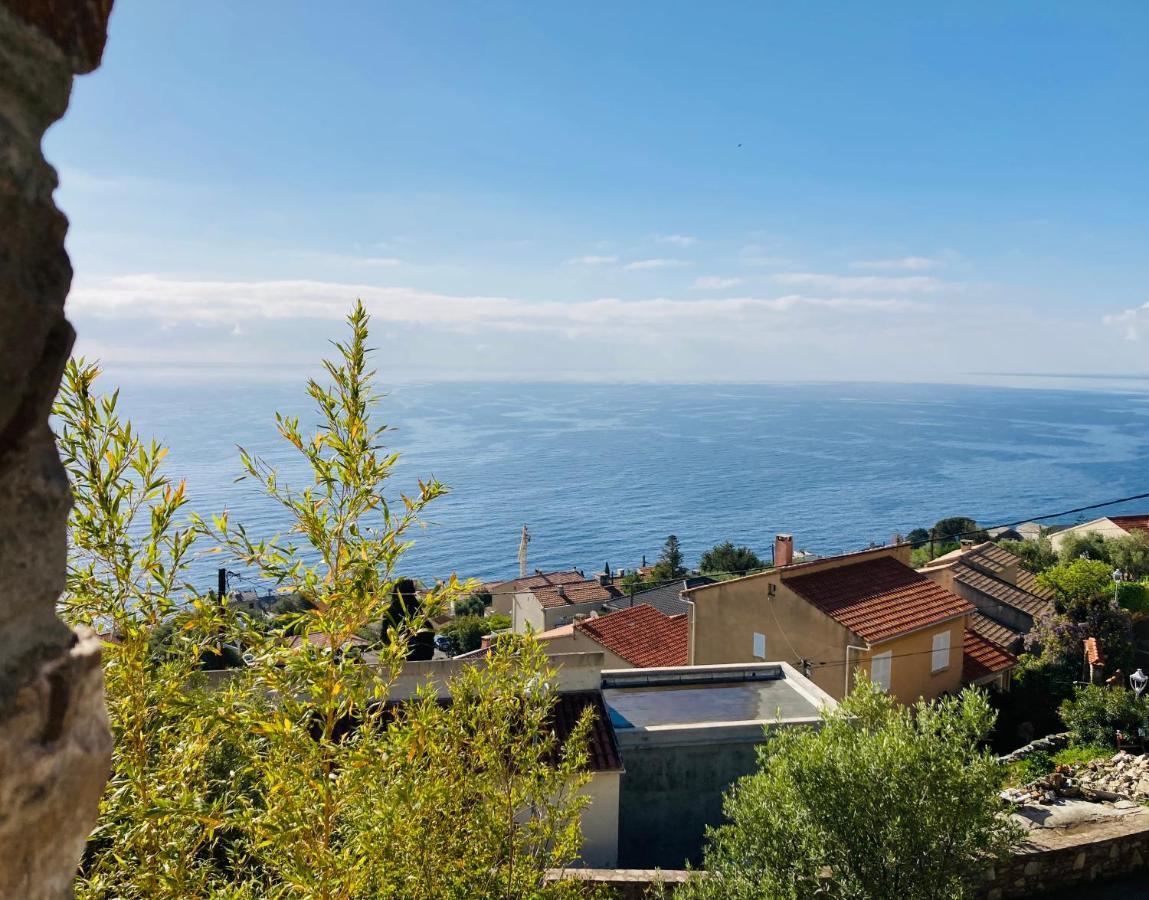 Maison Mediterraneo - Rez De Villa, Vue Imprenable Sur La Mer Pietranera Εξωτερικό φωτογραφία